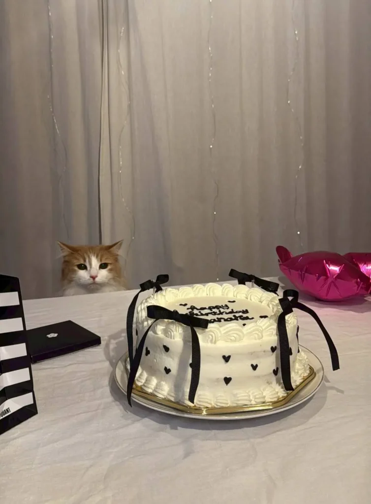 愛猫
猫
サイベリアン
猫アレルギー
ノルウェージャンフォレストキャット
